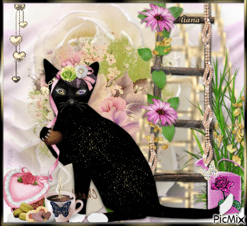 ~ glamorous cat ~ - Darmowy animowany GIF