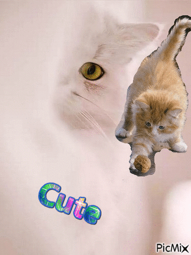 cute - Δωρεάν κινούμενο GIF