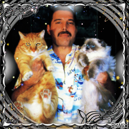 Freddie with cats.../ Contest - Free animated GIF