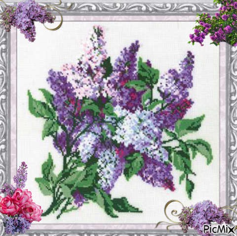 lilas - Free PNG