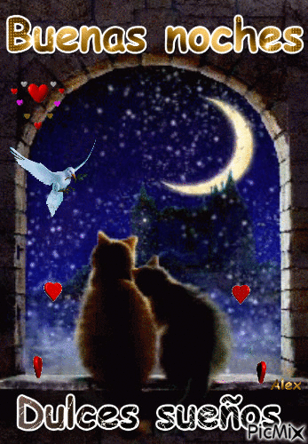 Dulces sueños gatitos - GIF animasi gratis