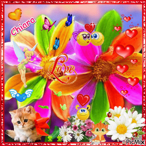 fiori colorati - Безплатен анимиран GIF