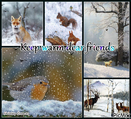 Keep warm dear friends - Darmowy animowany GIF