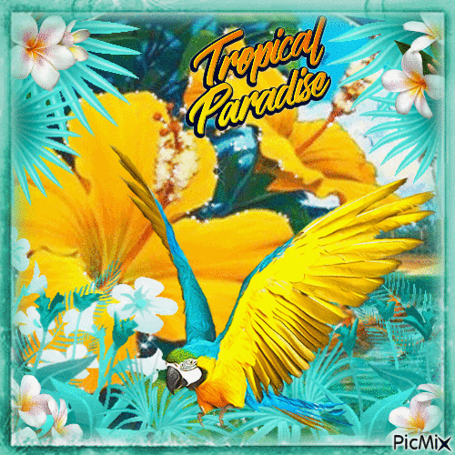 Tropical paradise - Gratis animeret GIF