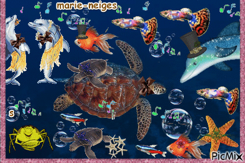 les animaux sont au bal au fond de la mer - Ücretsiz animasyonlu GIF
