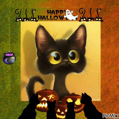 Halloween Kat - Gratis animeret GIF