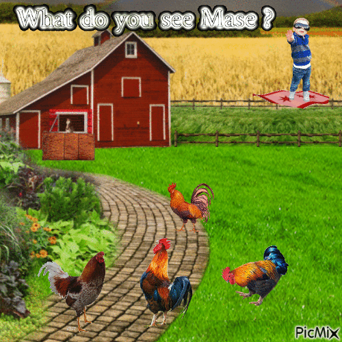 Mase n roosters - Darmowy animowany GIF