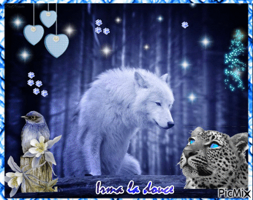 Loup bleu - Ingyenes animált GIF