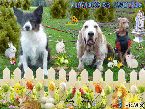 joyeude paques - Безплатен анимиран GIF