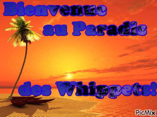 paradisiaque - PNG gratuit