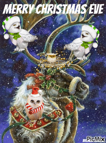 Merry Christmas Eve Owl - Free animated GIF