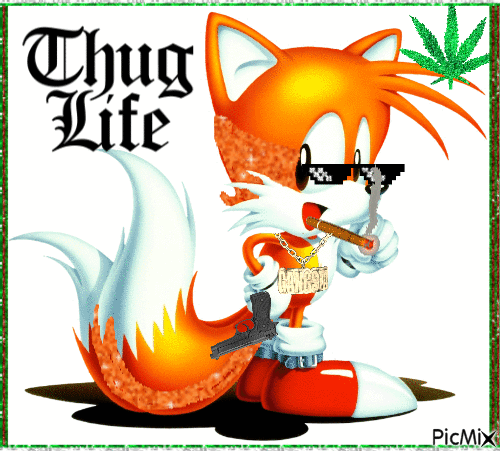 Tails the real g - Free animated GIF