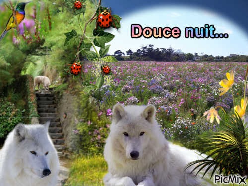 Douce nuit - 免费PNG
