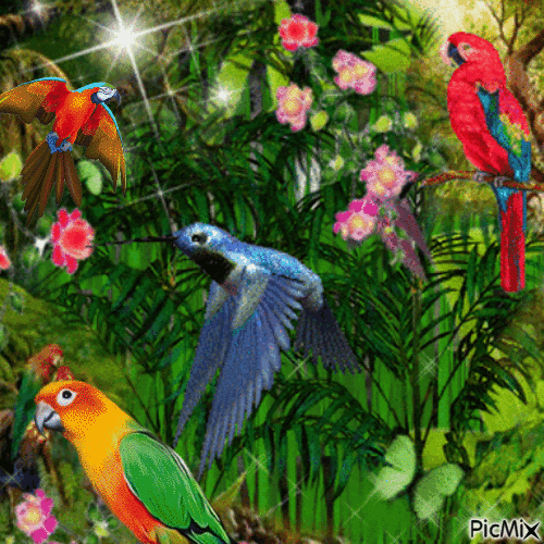 Perroquets - Gratis geanimeerde GIF