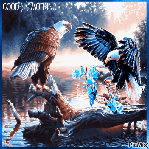 Good morning. Eagles - GIF animé gratuit