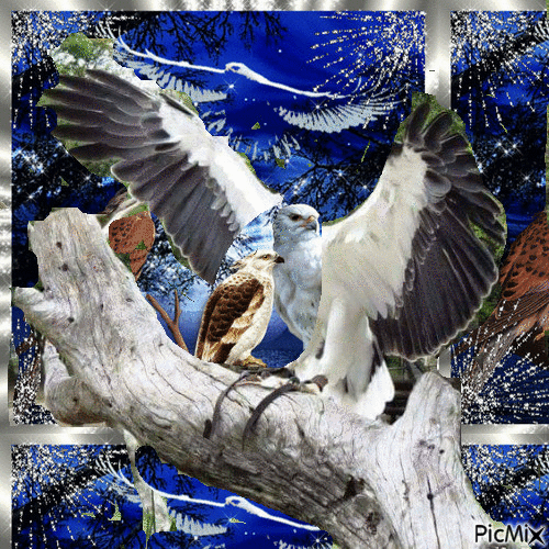 aigle - Darmowy animowany GIF