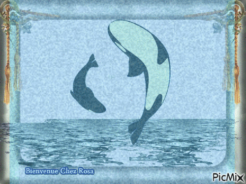 La mer - Besplatni animirani GIF