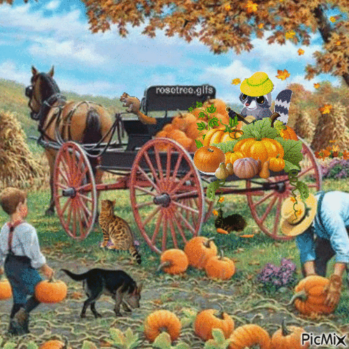 Harvest Time - Free animated GIF
