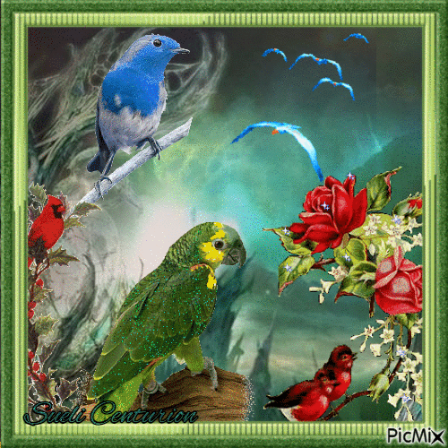 Aves Vermelho, verde, azul - GIF animé gratuit