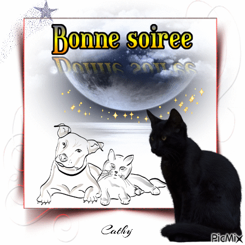 BONNE SOIREE - Gratis animerad GIF