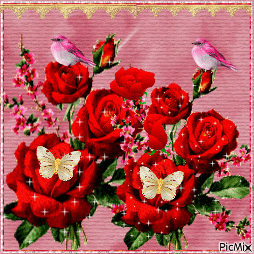 růže pro lásku - GIF animé gratuit