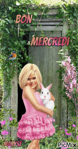 MERCREDI - Darmowy animowany GIF