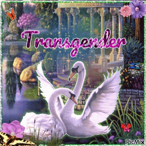 Transgender Swan - Animovaný GIF zadarmo