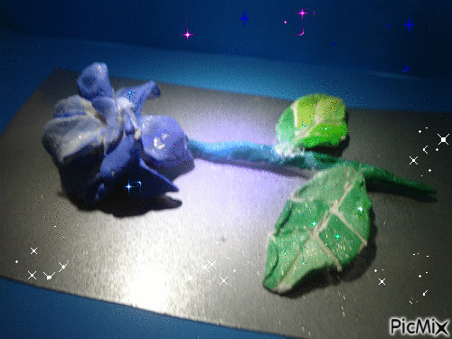 Une rose de couleur bleue réalisé par Gino Gibilaro - Bezmaksas animēts GIF