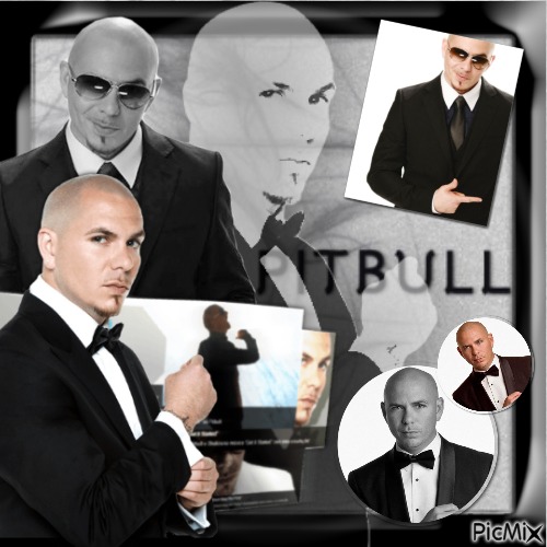 Pitbull - darmowe png