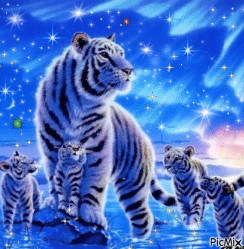 Tigres ( Concurso) - 無料のアニメーション GIF