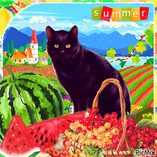 Summer fruits - Бесплатный анимированный гифка