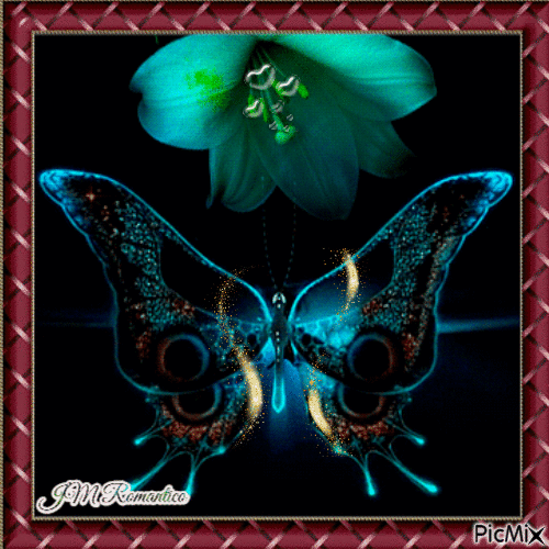 Mariposa Nocturna - GIF animé gratuit