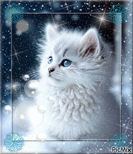 chat sous la neige - 無料のアニメーション GIF