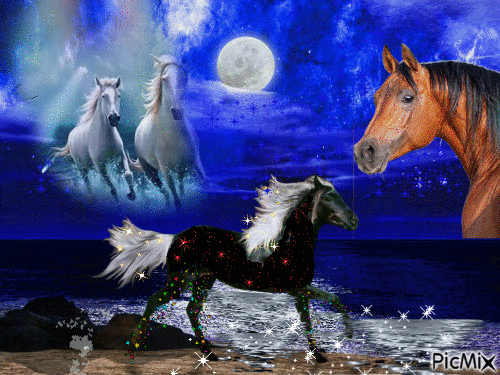 cavalli - GIF animado grátis