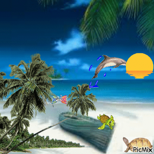 mer et dauphin - Zdarma animovaný GIF
