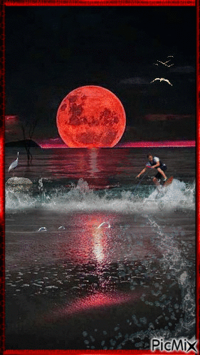 surf nocturno!! - Zdarma animovaný GIF