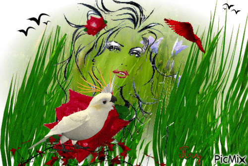 la femme aux oiseaux - Δωρεάν κινούμενο GIF