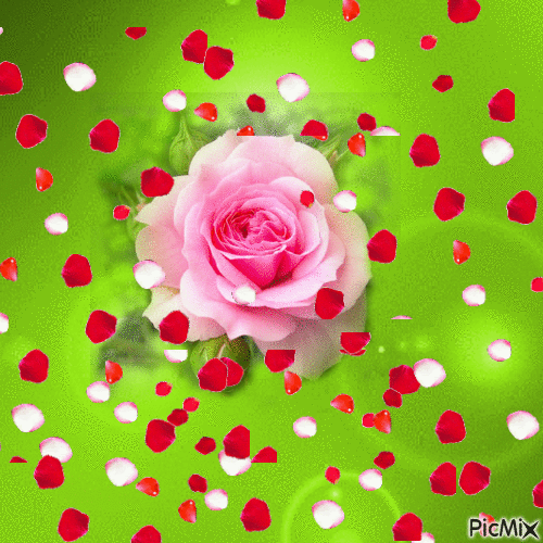 La rose - Nemokamas animacinis gif