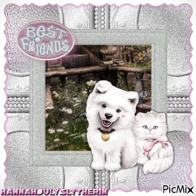 ♦White Dog and Kitty are Best Friends♦ - Gratis geanimeerde GIF