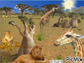 nature et animaux - GIF animado gratis