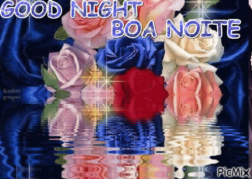 GOOD NIGHT BOA NOITE - Darmowy animowany GIF