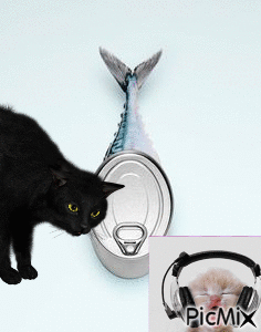 Gatos con sardinas - Бесплатни анимирани ГИФ