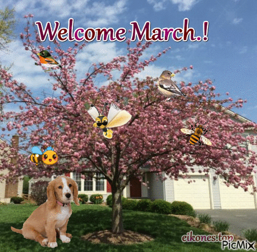 Welcome March - GIF animasi gratis