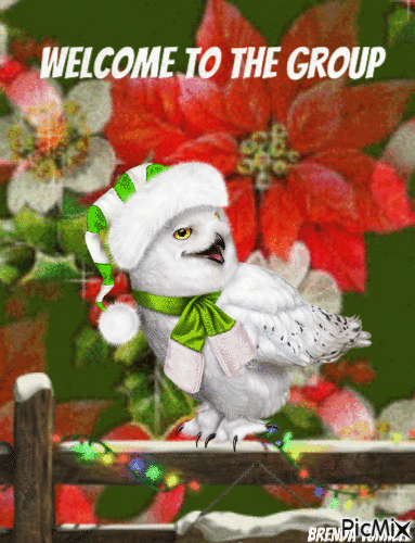 Christmas welcome owl - Nemokamas animacinis gif