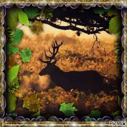 Les animaux de la forêt en automne!!!!!! - 無料のアニメーション GIF