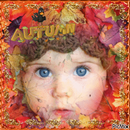 Autumn Leaves Baby Face - GIF animado gratis