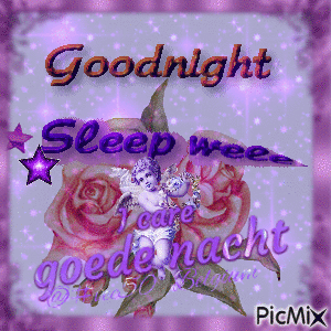 goodnight  goede nacht - GIF animé gratuit