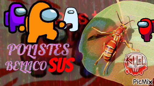 when the Polistes is bellicosus - Free animated GIF