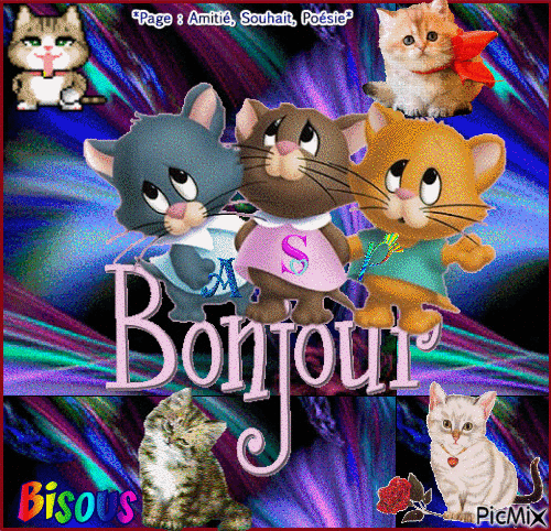 Bonjour Chaton - Безплатен анимиран GIF