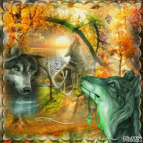 Un loup en automne - Nemokamas animacinis gif